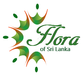 Flora of Sri Lanka