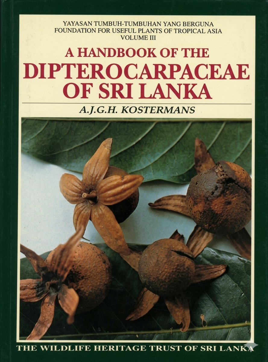 Dipterocarpaceae