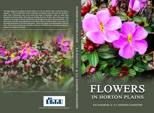 A - Flowers in Horton Plains – A Pocket Guide