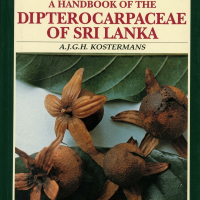Dipterocarpaceae