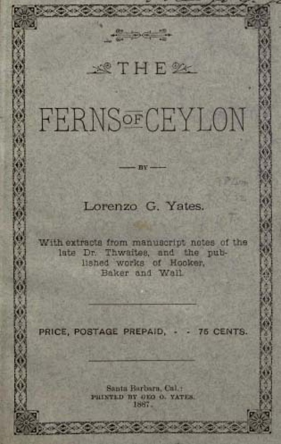 FE - The Ferns of Ceylon