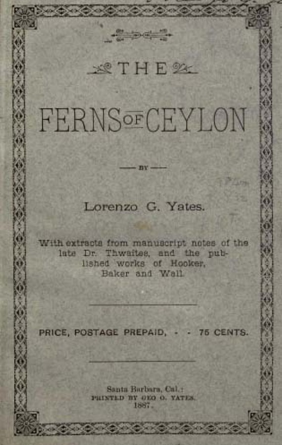 The Ferns of Ceylon