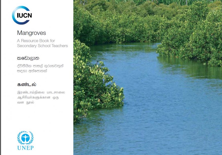 M - Mangroves - කඩොලාන