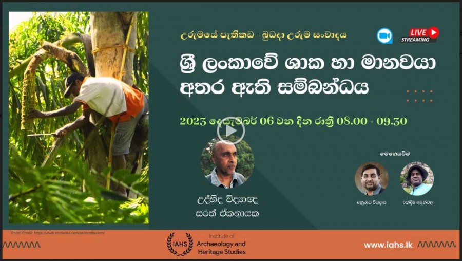 V - ශ්රී ලංකාවේ ශාක සහ මානවයා අතර ඇති සම්බන්ධය